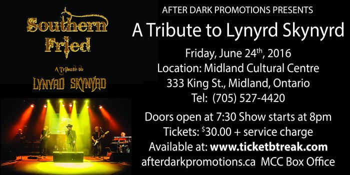 Lynryd Skynyrd Tribute