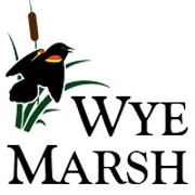 Wye Marsh Wildlife Centre
