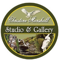 Christine Marshall Wildlife Gallery