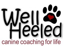 The Well Heeled Canine