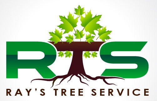 Ray's Tree Service