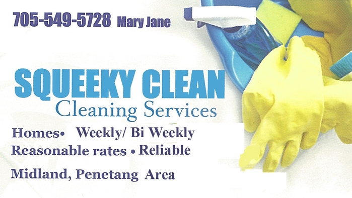 Squeeky Clean Cleaning Services