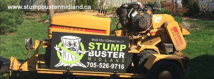 Stump Buster Midland