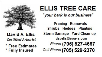 Ellis Tree Care